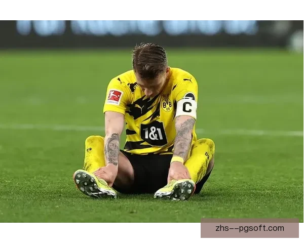 罗伊斯加盟美职联引发热议 转战新天地开启职业生涯新篇章